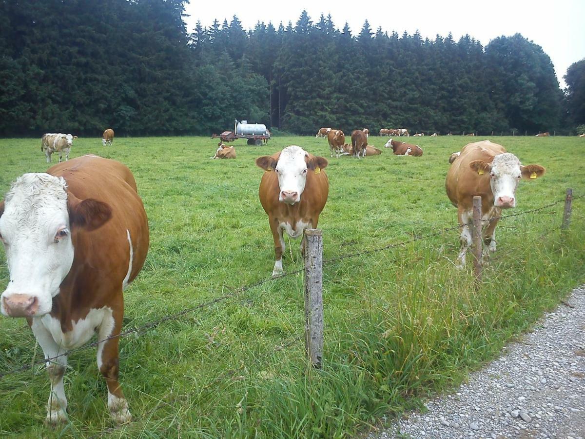 Ferienwohnung Auf Dem Lechsberg Fuchstal ภายนอก รูปภาพ